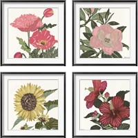 Framed Floral Study 4 Piece Framed Art Print Set