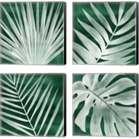 Framed Velvet Palm 4 Piece Canvas Print Set