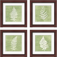 Framed 'Forest Ferns 4 Piece Framed Art Print Set' border=