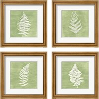 Framed Forest Ferns 4 Piece Framed Art Print Set