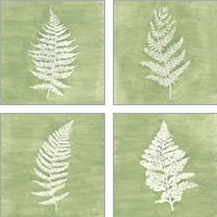 Framed 'Forest Ferns 4 Piece Art Print Set' border=