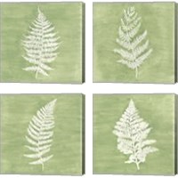 Framed 'Forest Ferns 4 Piece Canvas Print Set' border=
