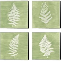 Framed 'Forest Ferns 4 Piece Canvas Print Set' border=