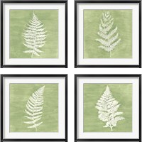 Framed Forest Ferns 4 Piece Framed Art Print Set