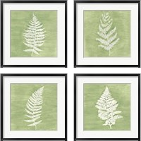 Framed Forest Ferns 4 Piece Framed Art Print Set