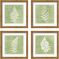 Framed 'Forest Ferns 4 Piece Framed Art Print Set' border=