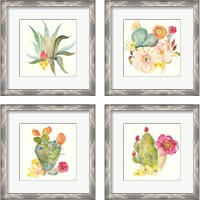 Framed 'Succulent Desert 4 Piece Framed Art Print Set' border=