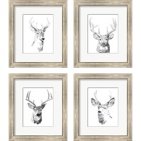 Framed 'Young Buck Sketch 4 Piece Framed Art Print Set' border=