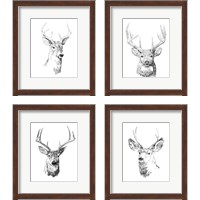 Framed Young Buck Sketch 4 Piece Framed Art Print Set