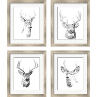 Framed Young Buck Sketch 4 Piece Framed Art Print Set