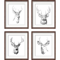 Framed Young Buck Sketch 4 Piece Framed Art Print Set