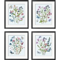 Framed 'Wildflowers Arrangements 4 Piece Framed Art Print Set' border=