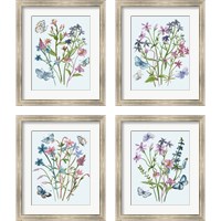 Framed 'Wildflowers Arrangements 4 Piece Framed Art Print Set' border=