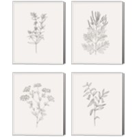 Framed 'Wild Foliage Sketch 4 Piece Canvas Print Set' border=