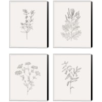 Framed 'Wild Foliage Sketch 4 Piece Canvas Print Set' border=