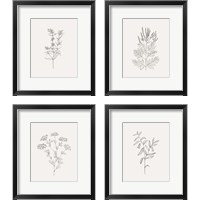 Framed 'Wild Foliage Sketch 4 Piece Framed Art Print Set' border=