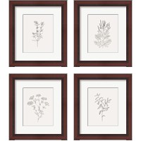 Framed 'Wild Foliage Sketch 4 Piece Framed Art Print Set' border=