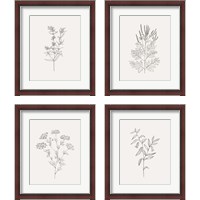 Framed 'Wild Foliage Sketch 4 Piece Framed Art Print Set' border=