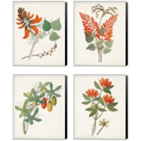 Framed 'Botanical of the Tropics 4 Piece Canvas Print Set' border=