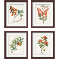Framed 'Botanical of the Tropics 4 Piece Framed Art Print Set' border=