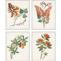 Framed 'Botanical of the Tropics 4 Piece Art Print Set' border=