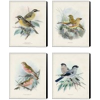 Framed 'Antique Birds 4 Piece Canvas Print Set' border=