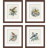 Framed 'Antique Birds 4 Piece Framed Art Print Set' border=