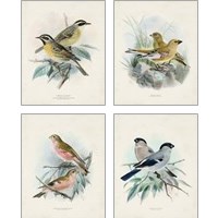 Framed 'Antique Birds 4 Piece Art Print Set' border=