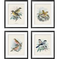 Framed 'Antique Birds 4 Piece Framed Art Print Set' border=