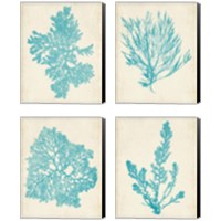 Framed Aquamarine Seaweed 4 Piece Canvas Print Set