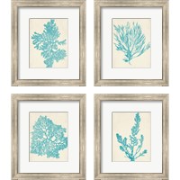 Framed Aquamarine Seaweed 4 Piece Framed Art Print Set