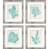 Framed Aquamarine Seaweed 4 Piece Framed Art Print Set