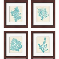 Framed 'Aquamarine Seaweed 4 Piece Framed Art Print Set' border=