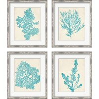 Framed 'Aquamarine Seaweed 4 Piece Framed Art Print Set' border=