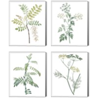 Framed 'Soft Green Botanical 4 Piece Canvas Print Set' border=