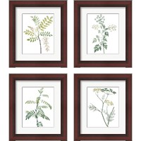Framed 'Soft Green Botanical 4 Piece Framed Art Print Set' border=