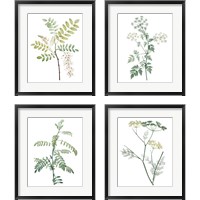 Framed 'Soft Green Botanical 4 Piece Framed Art Print Set' border=