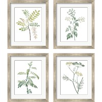 Framed Soft Green Botanical 4 Piece Framed Art Print Set