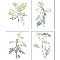 Framed Soft Green Botanical 4 Piece Art Print Set
