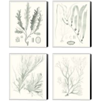 Framed Sage Green Seaweed 4 Piece Canvas Print Set