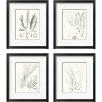Framed 'Sage Green Seaweed 4 Piece Framed Art Print Set' border=