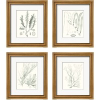 Framed Sage Green Seaweed 4 Piece Framed Art Print Set