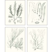 Framed Sage Green Seaweed 4 Piece Art Print Set