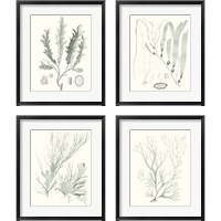 Framed Sage Green Seaweed 4 Piece Framed Art Print Set