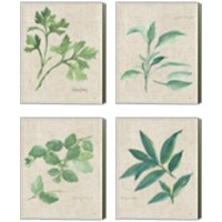 Framed 'Herbs on Burlap 4 Piece Canvas Print Set' border=
