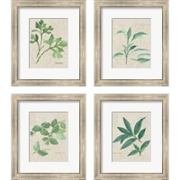 Framed 'Herbs on Burlap 4 Piece Framed Art Print Set' border=