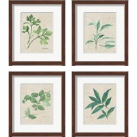 Framed Herbs on Burlap 4 Piece Framed Art Print Set