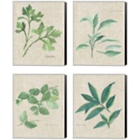 Framed Herbs on Burlap 4 Piece Canvas Print Set