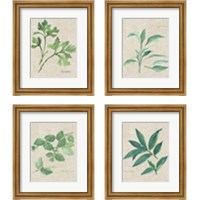 Framed Herbs on Burlap 4 Piece Framed Art Print Set