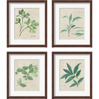 Framed 'Herbs on Burlap 4 Piece Framed Art Print Set' border=